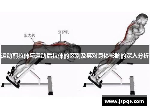运动前拉伸与运动后拉伸的区别及其对身体影响的深入分析